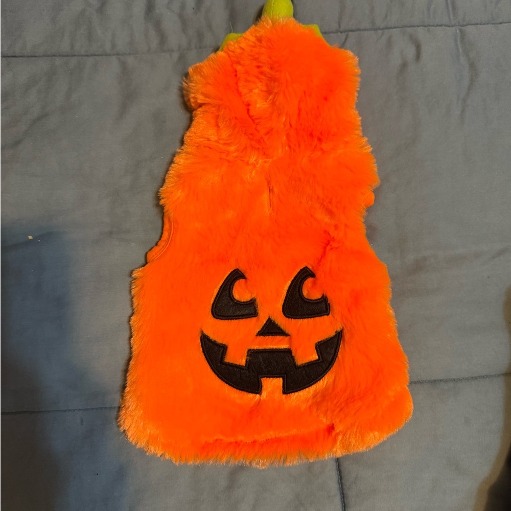 Jack-O-Lantern Halloween costume for dog. NWOT.